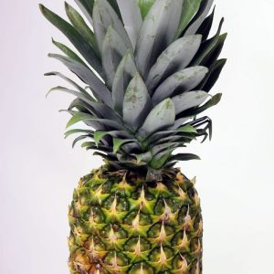 Ananas – Bild 1