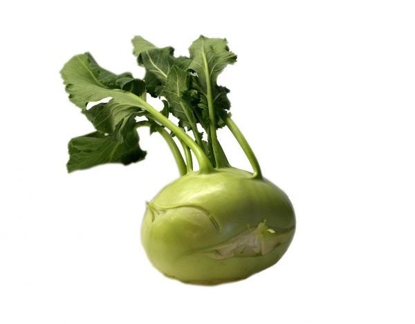 kohlrabi2