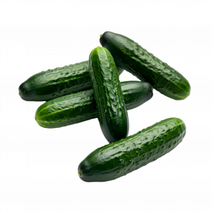 Mini Gurke – Bild 1