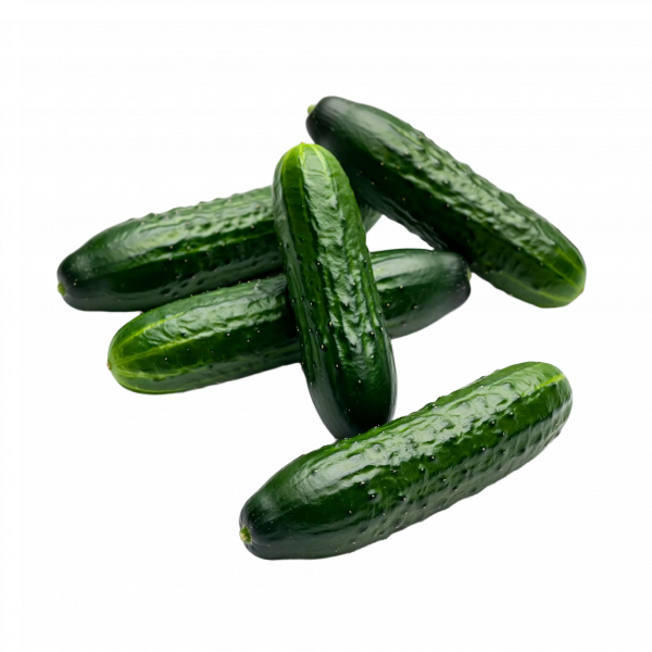 mini-gurke-green-tree-obst