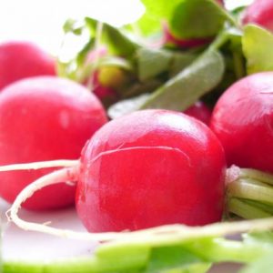Radieschen – Bild 1