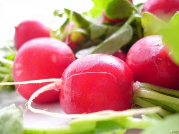 radieschen