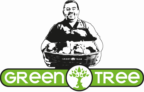 green tree hasan kavlaks